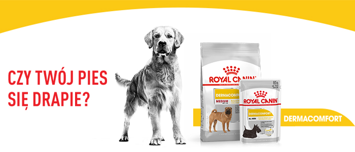 ROYAL CANIN CCN Medium Dermacomfort 12 kg sausā barība pieaugušiem suņiem, vidējo šķirņu suņiem ar jutīgu ādu